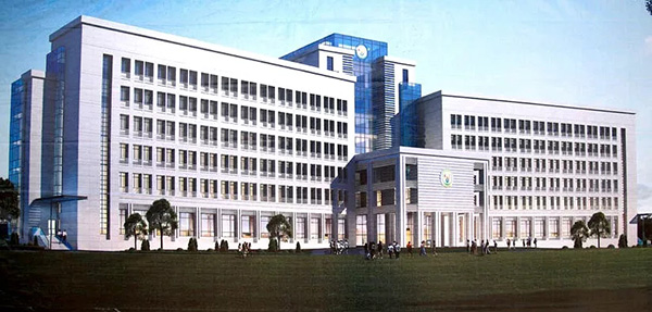 国产乱老熟妇吃嫩草